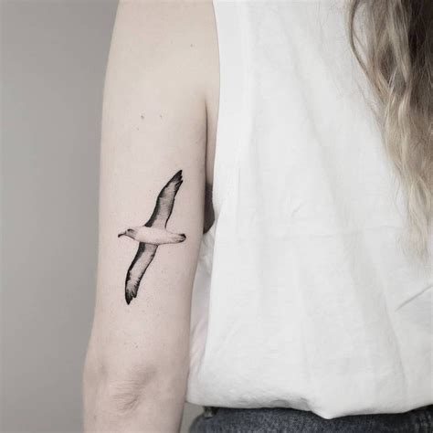 albatross tattoo|albatross tattoo meaning.